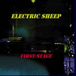 Electric Sheep : First Stage